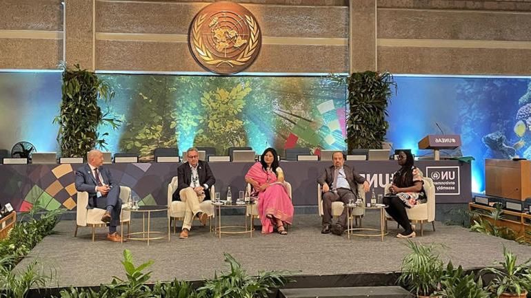 Reflections on UNEA 6 - Key Takeaways for the Business Community 